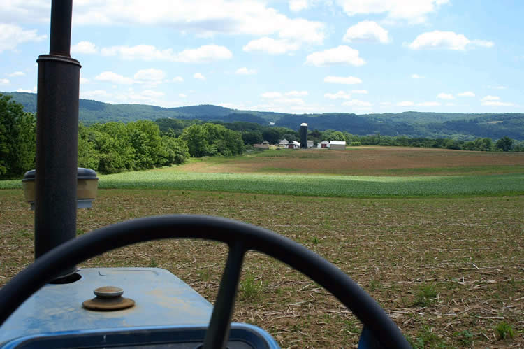 gry tractor mania